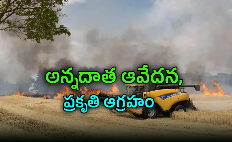 Global Heatwaves Threaten Food Security UN Warns Rising Prices Crop Losses1