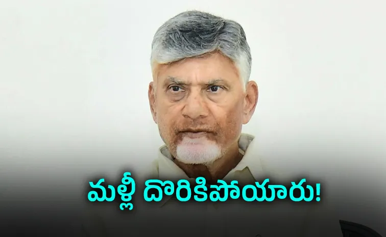Kommineni Comments: Chandrababu Campaign In Tamil Nadu Elections
