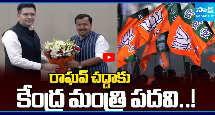 రాఘవ్ చద్దాకు కేంద్ర మంత్రి పదవి..!