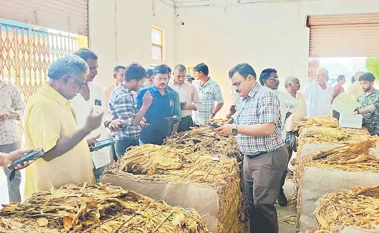 Unpromising tobacco prices