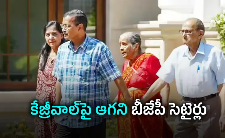 ఇది మామూలు వెన్నుపోటు కాదయ్యో..!