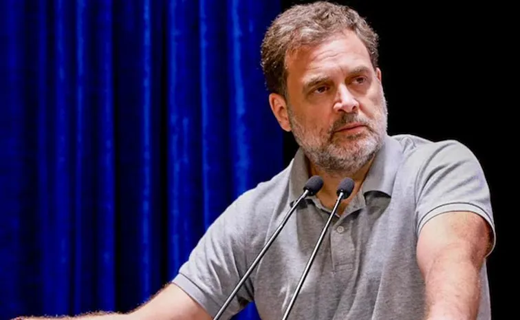 Rahul Gandhi Criticizes Narendra Modi And Mamata Banerjee