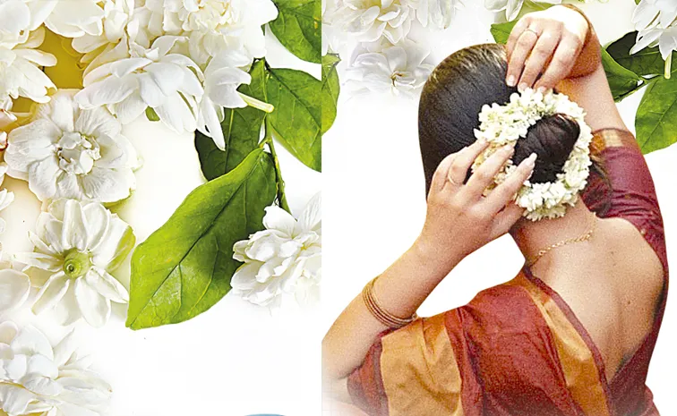 India leads jasmine production