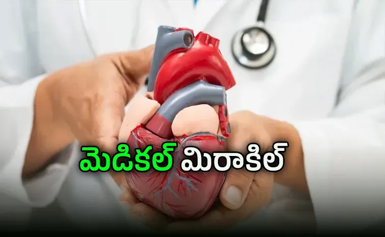 Why The Beating Heart Defeats Cancer