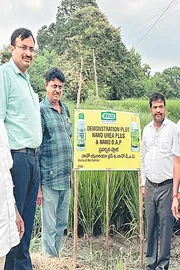 IFFCO Nano Urea is a revolutionary nanotechnology-based liquid fertilizer