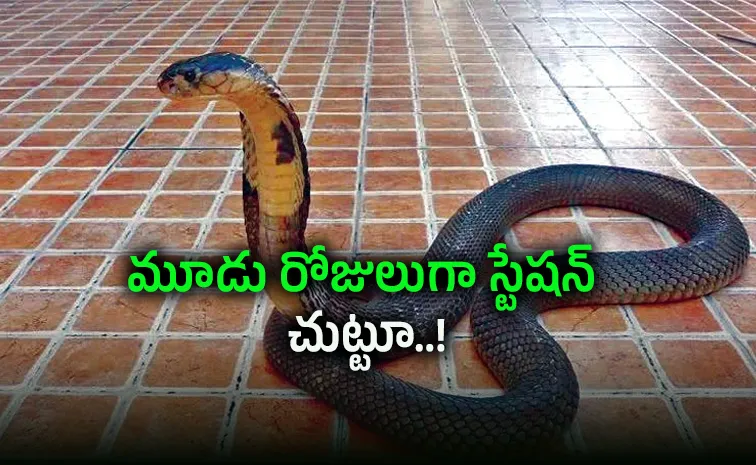 పోలీసుస్టేషన్‌కు వచ్చిన నాగుపాము