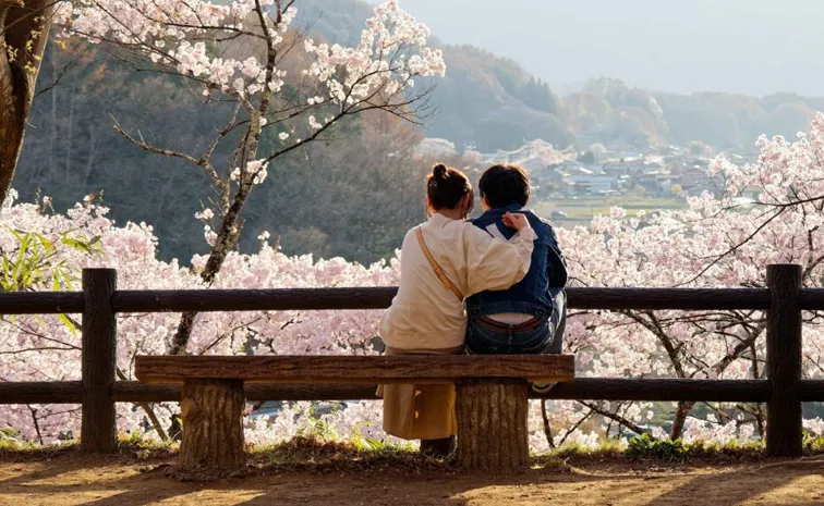 బంపర్‌ ఆఫర్‌ : డేటింగ్ యాప్ వాడితే వారికి డబ్బులు