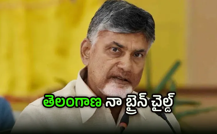 ఇది చూసి నవ్వుకునేరు.. బాబోరు మళ్లీ వేసేశారు..!