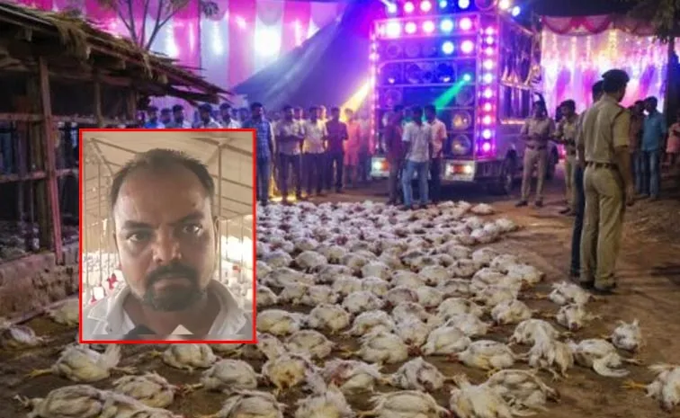 కోళ్ల ప్రాణం తీసిన డీజే సౌండ్‌!