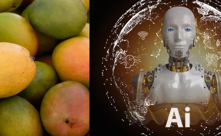 ‘క్లిక్’ కొట్టండి.. మామిడి కల్తీని పట్టుకోండి!