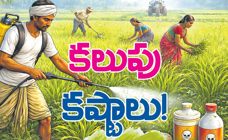 సమగ్ర కలుపు నిర్వహణ పద్ధతులు