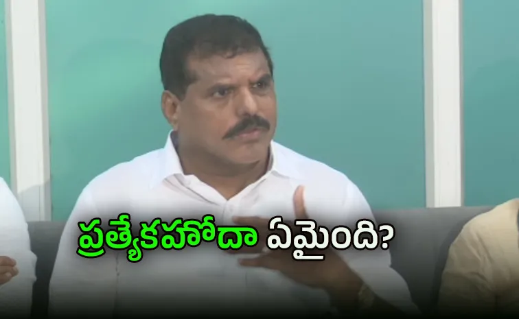 అమరావతిలో ఈ రెండేళ్లు ఏమి చేశారు?: బొత్స సత్యనారాయణ