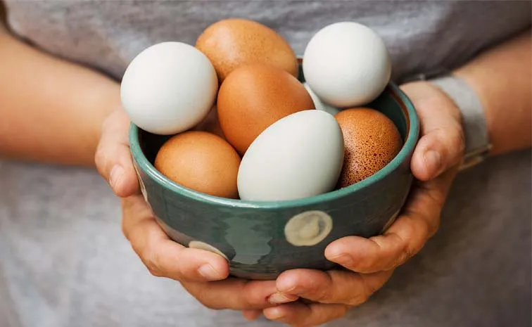 Health Tips: Myths and facts about eggs