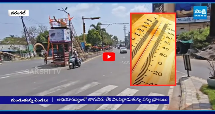 రోడ్లు ఖాళీ ఎండ దెబ్బకు.. లాక్ డౌన్ పరిస్థితి