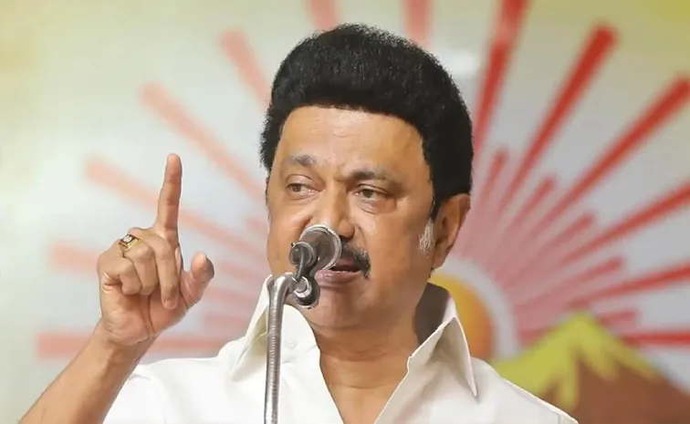 Tamil Nadu CM Stalin Satirical Comments On BJP