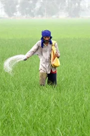 West Asia Tensions Fertilizer Supply India Ramps Up Urea Imports Kharif Season