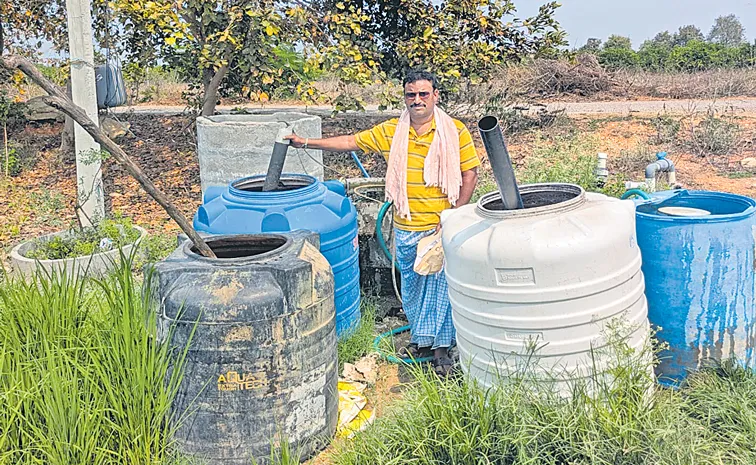 Liquid Fertilizer for Plant Growth Booster