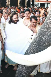 Anant Ambani Donates for Kerala Temples and Elephant Welfare