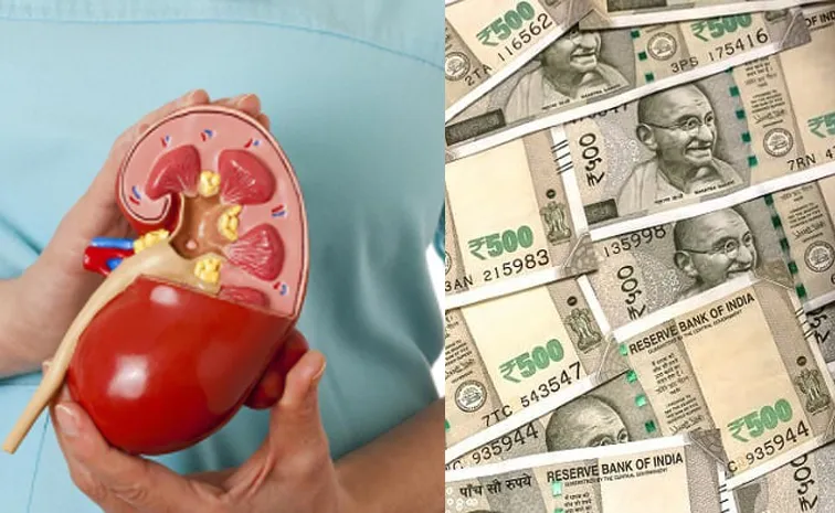 woman Dowry Horror Donate Kidney To Husband Or Arrange 30 Lakhs in Kanpur