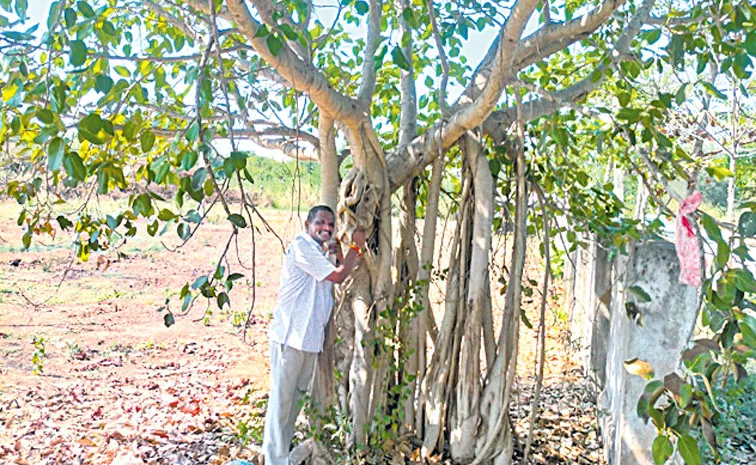 Warangal man planted Banyan Tree for Birds in Graveyard