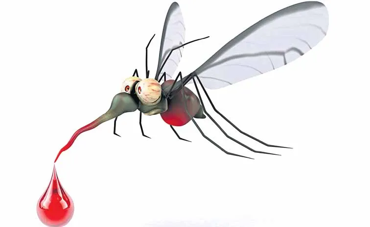 Malaria cases are increasing day by day