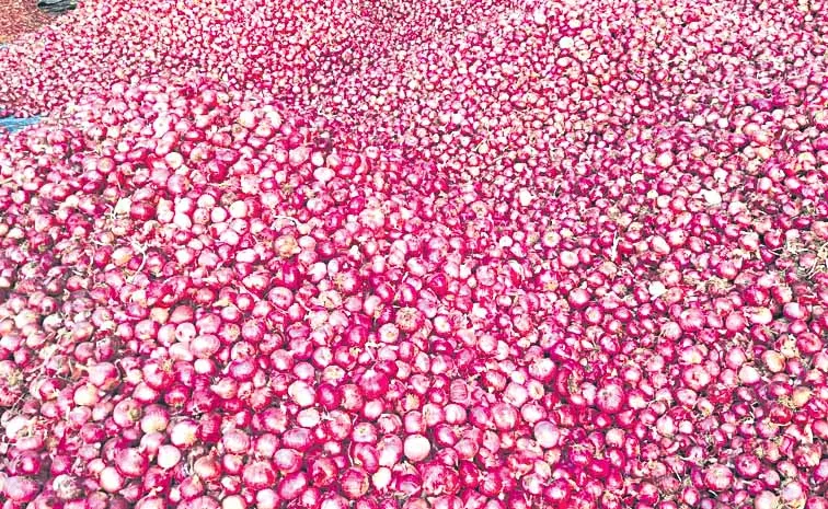 ధర లేని 'ఉల్లి'.. రైతు 'తల్లడిల్లి'!