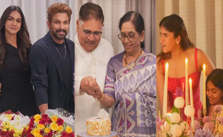 అత్తామామకు సర్‌ప్రైజ్‌ ఇచ్చిన నయనిక