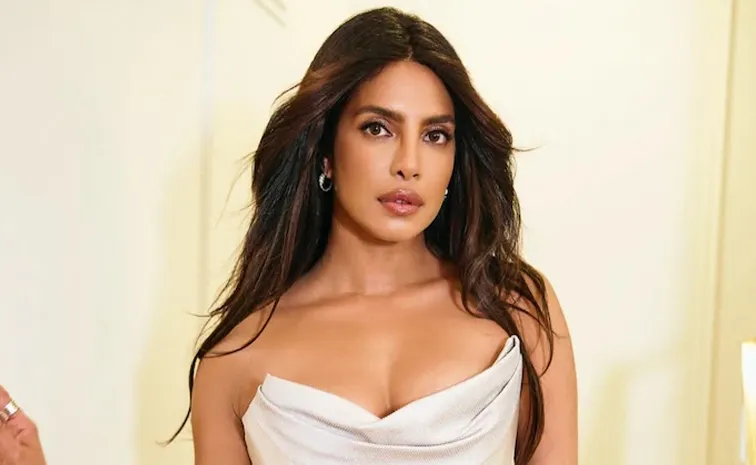 Priyanka Chopra Shares Career Starting Struggles