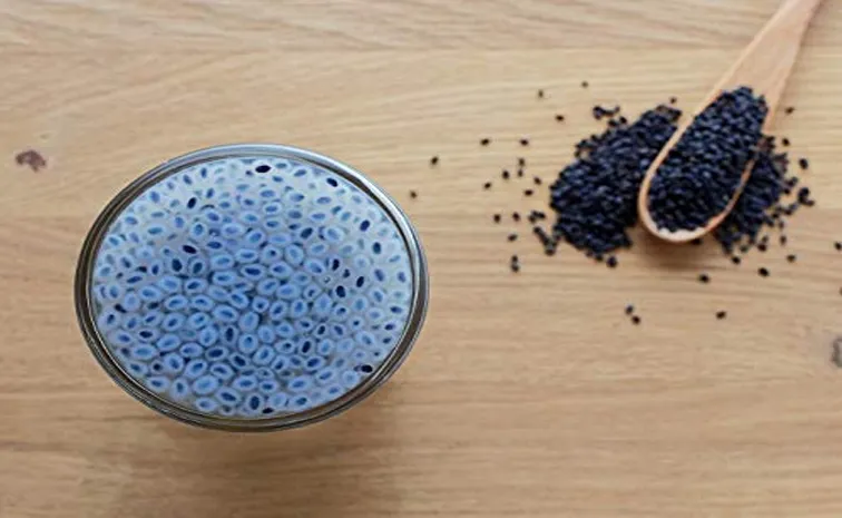 వేసవి సంజీవని సబ్జా