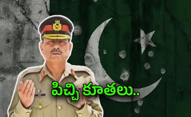 Pakistan Asim Munir Over Action Comments On India