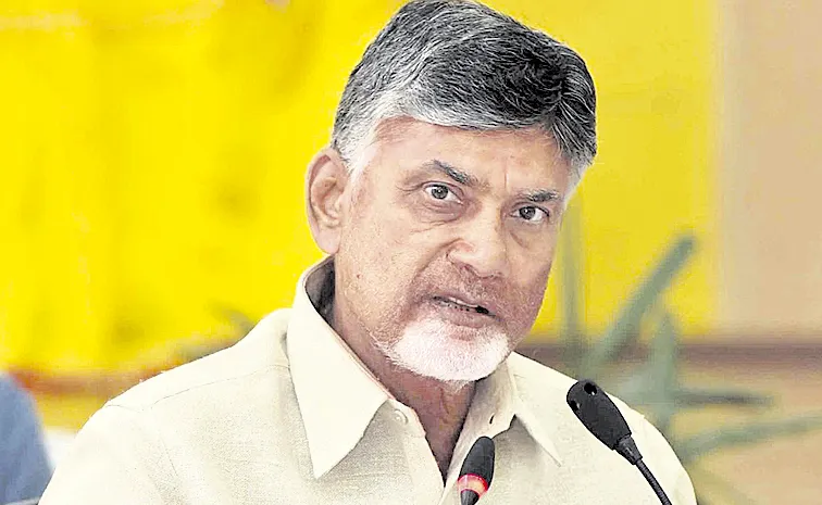 CM Chandrababu Visit Tour To Delhi for 30th Time: Andhra pradesh