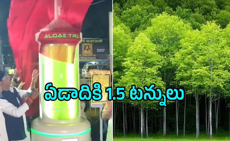 India First Carbon Capturing Algae Tree in Bhopal Know The Full Ddetails Here