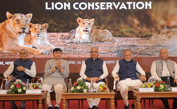 బిగ్‌ క్యాట్‌, బిగ్‌ మిషన్‌ : భారత్‌కు అంతర్జాతీయ గుర్తింపు