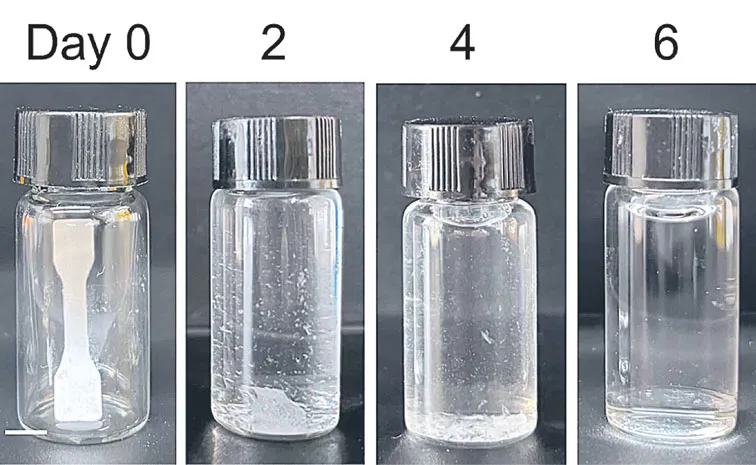 Chinese Scientists Create Plastic That Can Disappear on Its Own in 6 Days