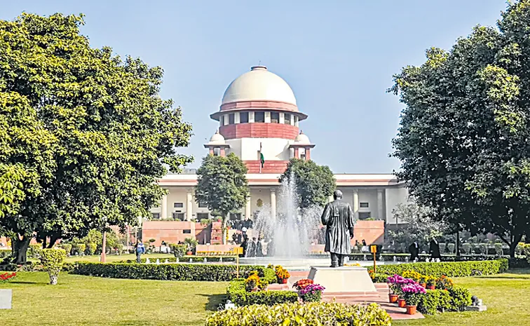 న్యాయ సమీక్ష రాజ్యాంగ విధి 