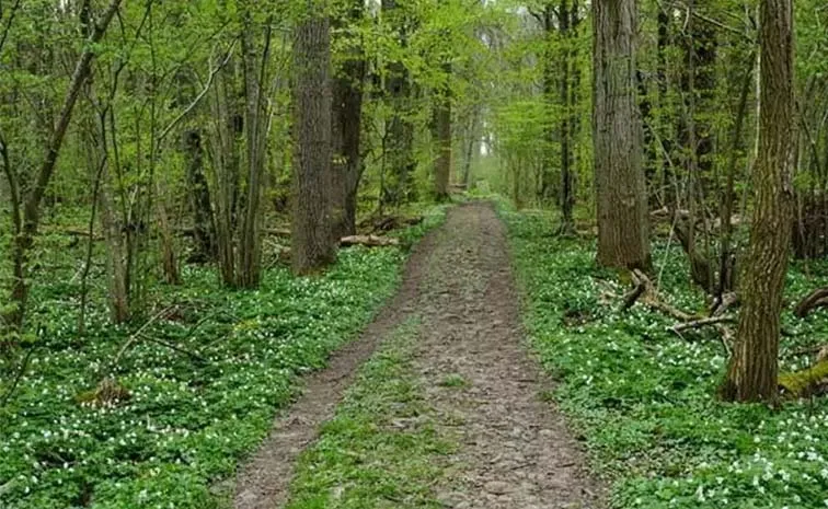 These Are The Best Telangana Nature And Wildlife Areas 1