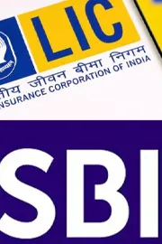 Govt Tightens Belt SBI LIC Face Travel Fuel Curbs to Cut Costs Boost Economy