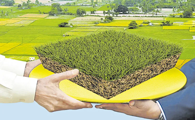 ‘సన్‌రే’కు జీ హుజూర్‌ ! 