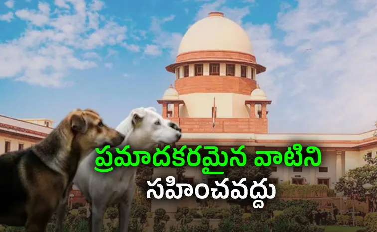 Supreme Court refuses to recall stray dog shelter order