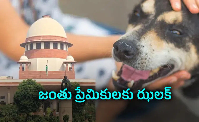 వీధి కుక్కల కేసులో కీలక పరిణామం
