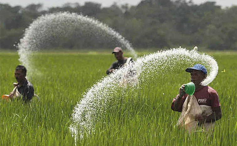Urea shortage hits Telangana amid kharif season
