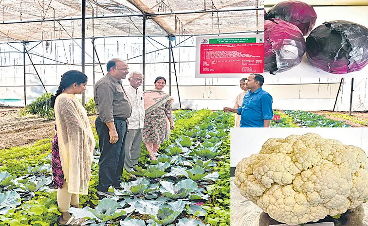 Organic yields with balanced nutrition1