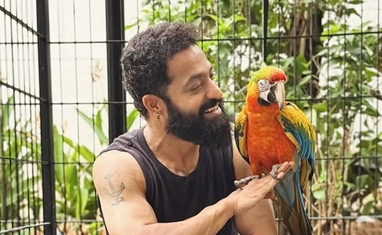 ఫ్రెండ్స్‌ని పరిచయం చేసిన జూనియర్‌ ఎన్టీఆర్‌.. ఆ పేర్ల అర్థమిదే!