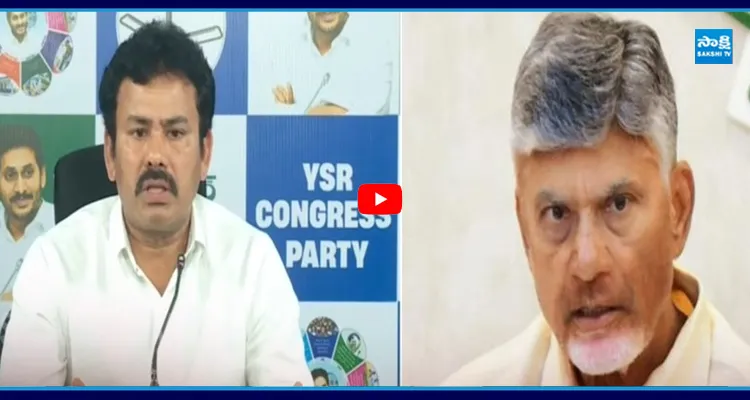 బాబు విజన్.. గ్యాస్ లేకుండానే చేపల ఫ్రై