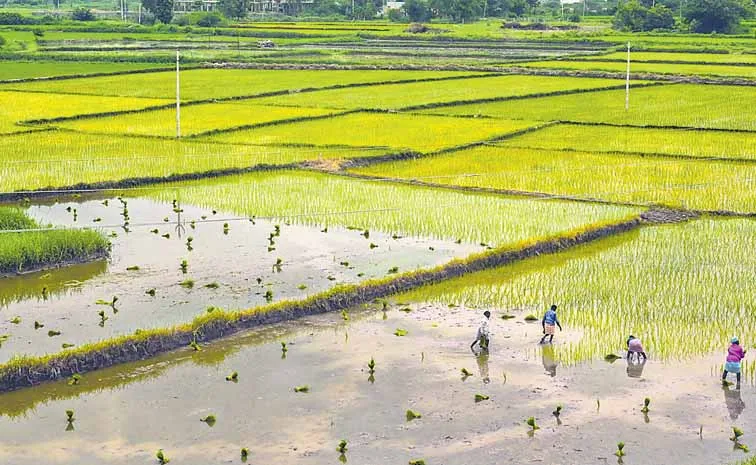 Upload process of non agricultural lands and property values ​​completed