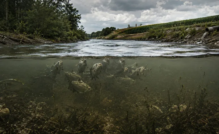 Study Warns 80 PC Of World's Rivers Losing Oxygen1