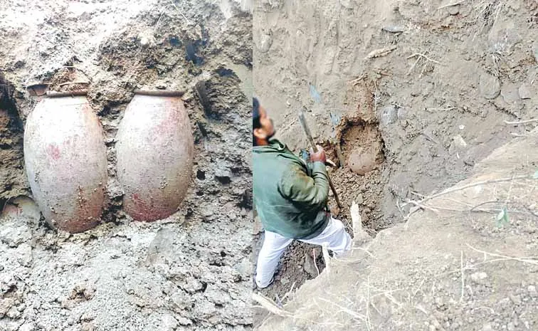 అటవీ సంపదను భక్షించిన ఇంటి దొంగలు