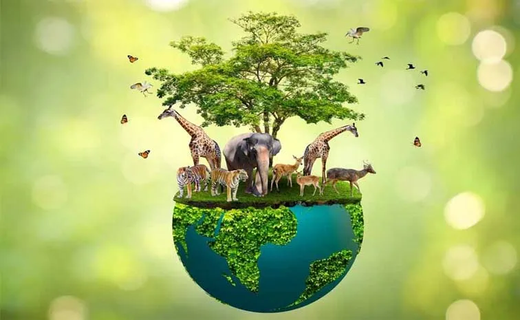 Sagubadi: Why Is Biodiversity Important to Agriculture
