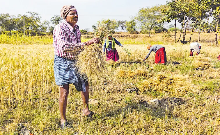 Sakshi Guest Column On Fertilizer Crises to farmers