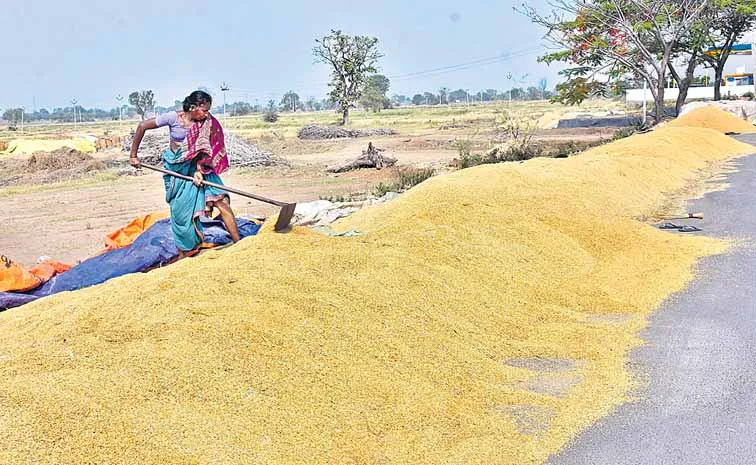 కాంటా తంటా..తాలు మోసాలు!